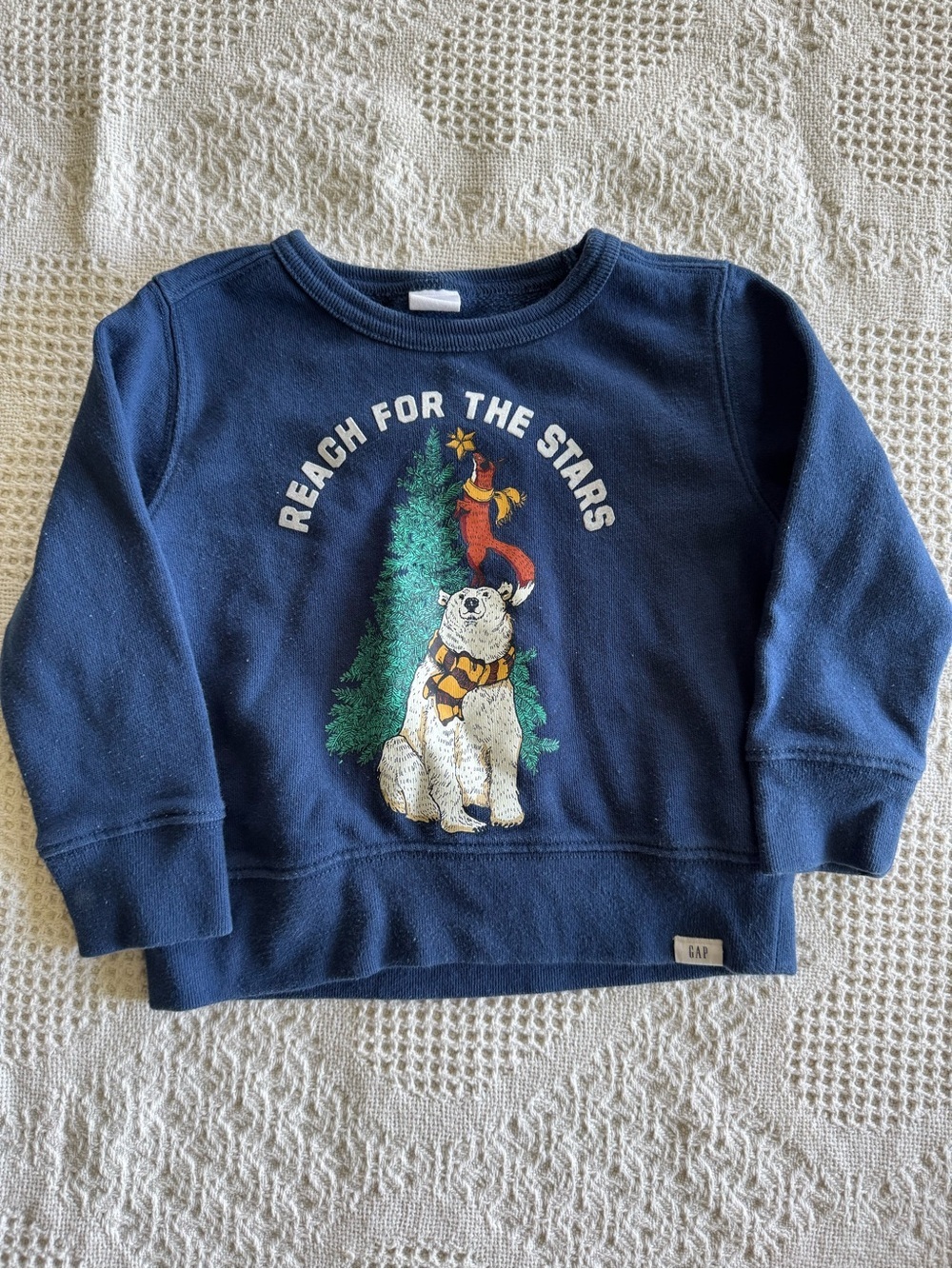 GAP Crewneck 2T